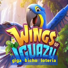 giga bicho loteria dos sonhos